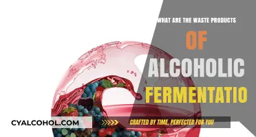 Unveiling the Byproducts of Alcoholic Fermentation: A Comprehensive Guide