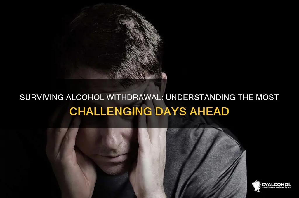 what are the worst days of alcohol withdrawal