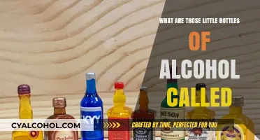 Miniature Spirits: Unveiling the Tiny Alcohol Bottles' Proper Name