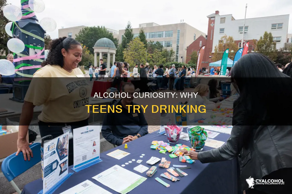 what are three reasons teens give for trying alcohol