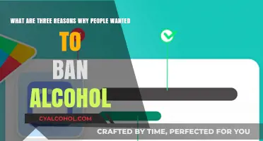 Alcohol Bans: Health, Safety, and Morality Concerns