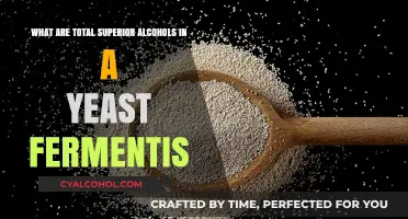 Superior Alcohols: Yeast's Secret Sauce
