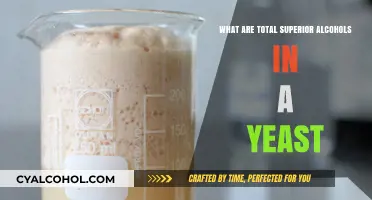 Understanding Total Superior Alcohols in Yeast Fermentation Processes
