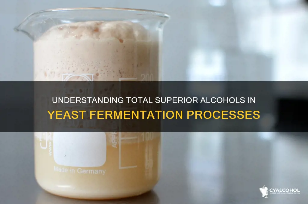 what are total superior alcohols in a yeast