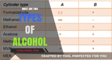 Exploring the Difference Between Ethanol and Methanol in Alcohol