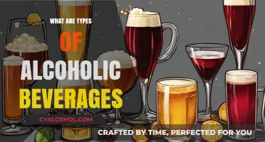 Exploring the Diverse World of Alcoholic Beverages and Their Types