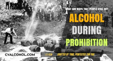 Bootlegging and Beyond: Evading Prohibition Laws