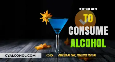 Exploring Diverse Methods to Enjoy Alcohol Responsibly and Creatively