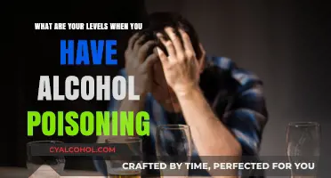 Signs of Alcohol Poisoning: Know the Warning Levels