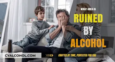 Alcohol's Devastating Impact: Exploring the Ruined Areas of Life and Health