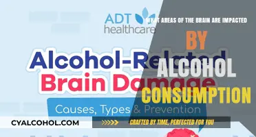 Alcohol's Impact: Understanding Brain Regions Affected