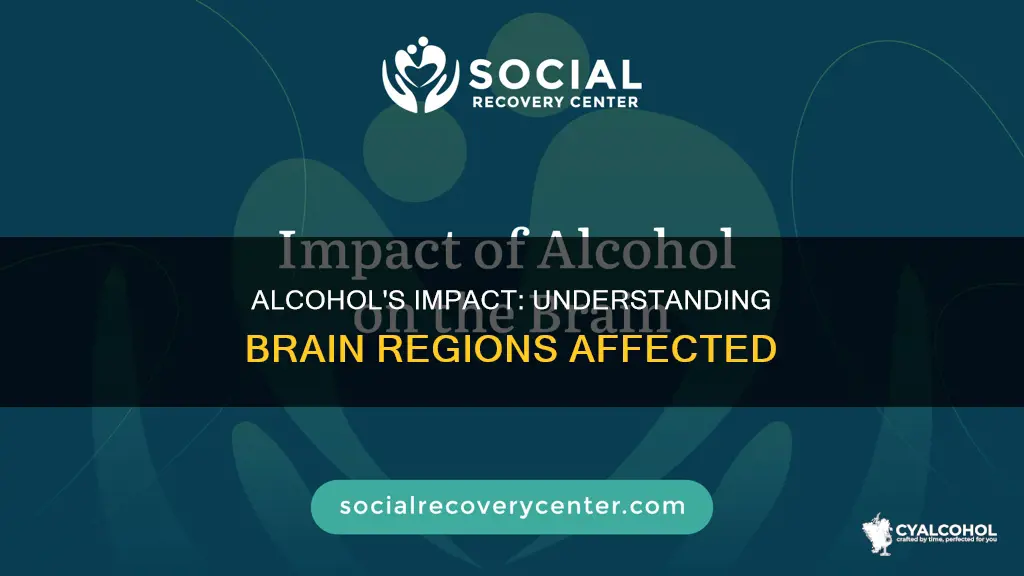 what areas of the brain are impacted by alcohol consumption