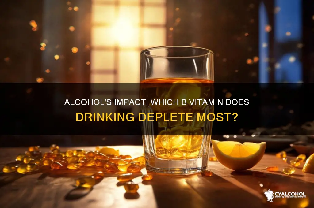 what b vitamin does alcohol deplete