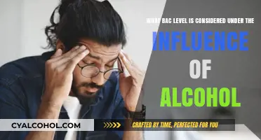 Understanding Legal BAC Limits for Driving Under Influence