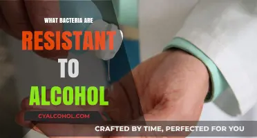 Alcohol-Resistant Bacteria: Unveiling Microbes Surviving Sanitizers and Disinfectants