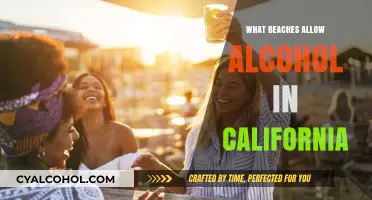 California Beaches Where You Can Enjoy Alcohol Legally