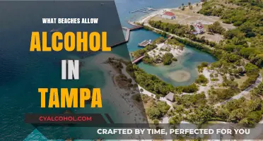 Tampa's Best Beaches for Enjoying Alcohol: A Complete Guide
