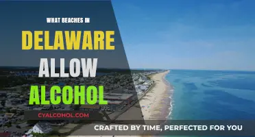 Delaware Beaches Where Alcohol is Permitted: A Complete Guide