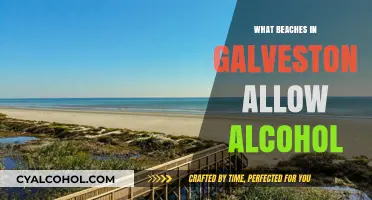 Galveston's Alcohol-Friendly Beaches: Where to Sip and Sunbathe