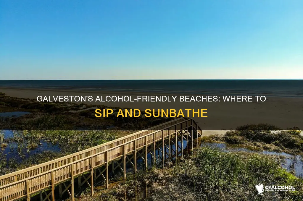 what beaches in galveston allow alcohol