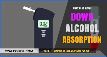 Slowing Alcohol Absorption: Effective Strategies for a Healthier Night Out