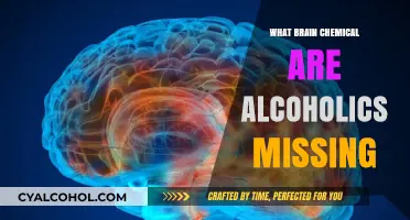 Unveiling the Brain Chemical Deficit in Alcoholism: A Scientific Exploration