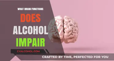 How Alcohol Impairs Brain Functions: Understanding the Cognitive Impact