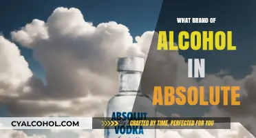 Unveiling the Truth: Which Brand of Alcohol is in Absolut Vodka?