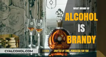Understanding Brandy: Which Alcohol Brand Defines This Classic Spirit?