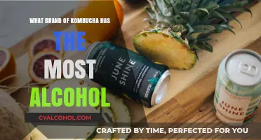 Discover the Kombucha Brand with the Highest Alcohol Content
