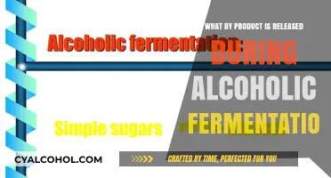 Unveiling the Surprising By-Product of Alcoholic Fermentation: A Deep Dive