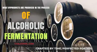 Exploring Alcoholic Fermentation: Valuable Byproducts and Applications
