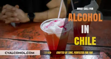 Exploring Chile's Unique Alcohol Culture: Traditions, Trends, and Tastes