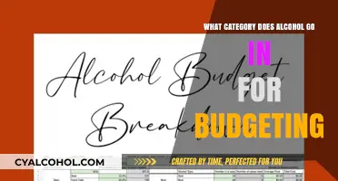 Budgeting Alcohol: Which Expense Category Fits Best for Drinks?