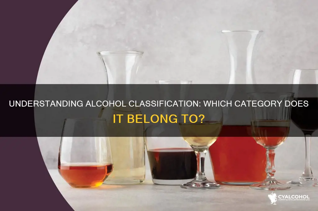 what category is alcohol placed in