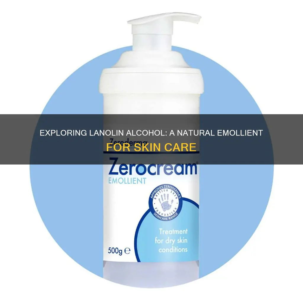 what category of ingredient does lanolin alcohol belong to
