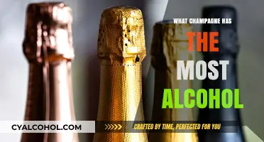 High-Proof Champagne: Discover the Strongest Alcohol Content in Bubbly
