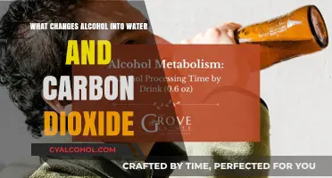 How Alcohol Transforms into Water and Carbon Dioxide: The Science Explained