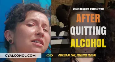 Life Transformed: One Year Alcohol-Free and the Changes It Brings