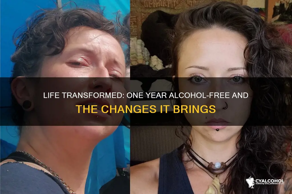 what changes over a year after quitting alcohol
