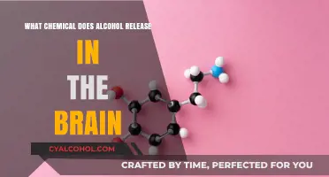 Alcohol's Brain Chemistry: Unveiling the Dopamine and Endorphin Release