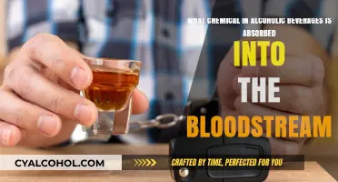 How Alcohol Enters Your Bloodstream