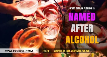Florida's Spirited Secret: The City Named After a Famous Alcohol