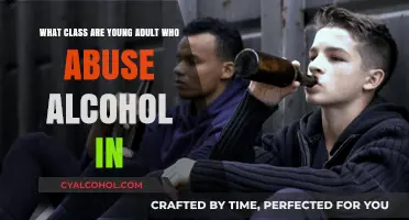 Alcohol Abuse: Young Adults and Their Classes