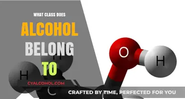 Understanding Alcohol: Its Chemical Classification and Properties Explained