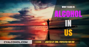 Understanding Alcohol Classification in the US: A Comprehensive Guide