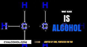 Understanding Alcohol: Its Classification and Role in Chemistry and Society