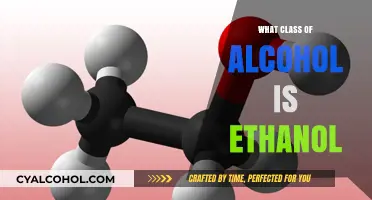 Understanding Ethanol: The Primary Alcohol Class and Its Uses