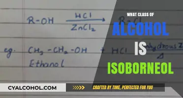 Understanding Isoborneol: Its Classification in the Alcohol Family Explained