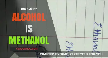 Understanding Methanol: Its Classification and Role in the Alcohol Family